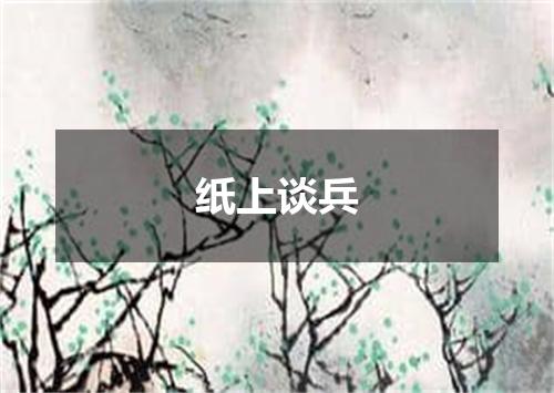 纸上谈兵