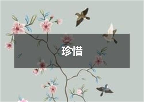珍惜