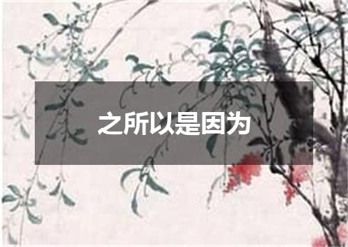 之所以是因为