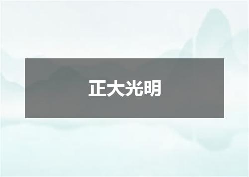 正大光明