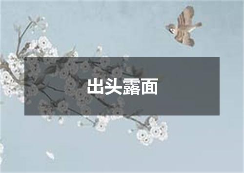 出头露面