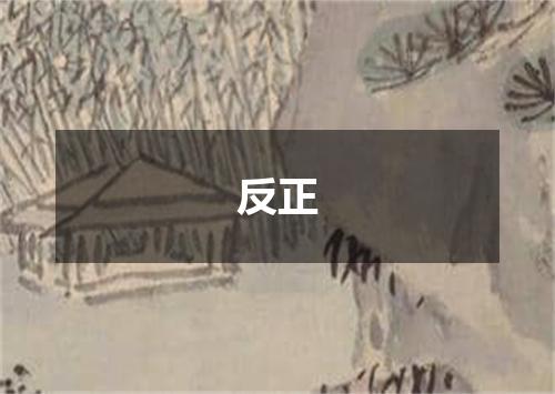 反正