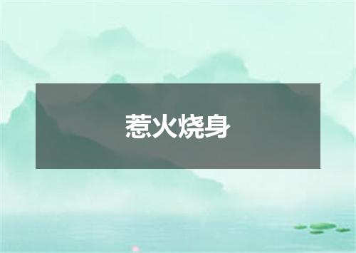 惹火烧身