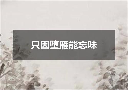 只因堕雁能忘味