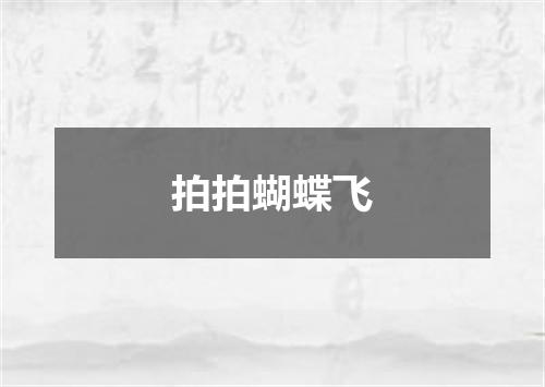 拍拍蝴蝶飞