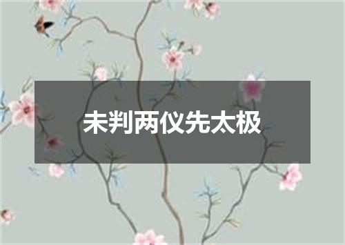 未判两仪先太极