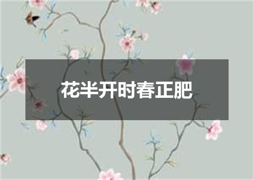 花半开时春正肥