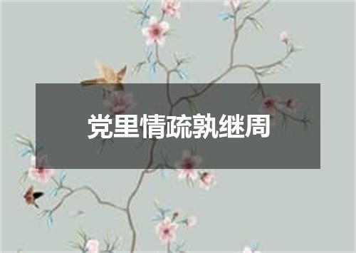 党里情疏孰继周