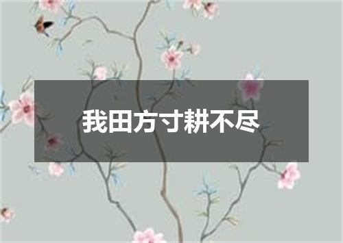 我田方寸耕不尽