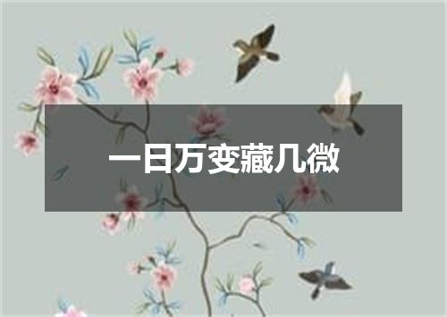 一日万变藏几微