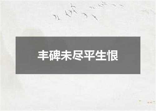 丰碑未尽平生恨