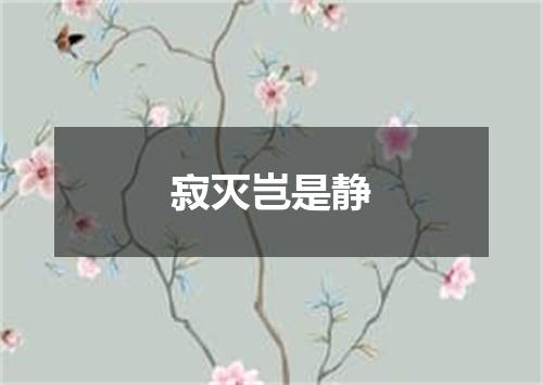 寂灭岂是静