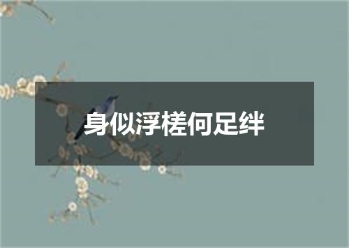 身似浮槎何足绊