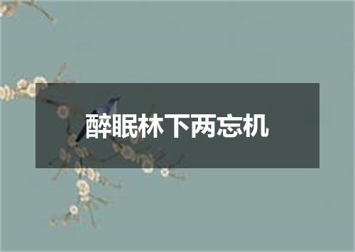 醉眠林下两忘机
