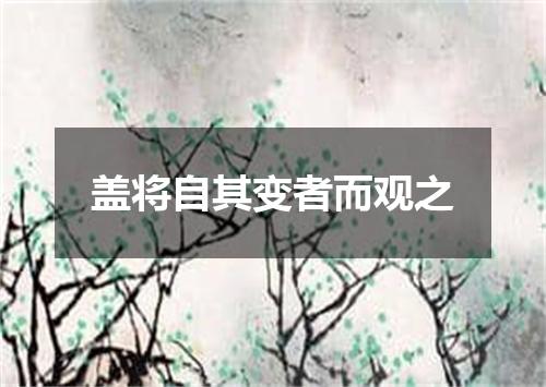 盖将自其变者而观之