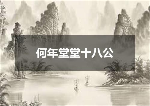 何年堂堂十八公