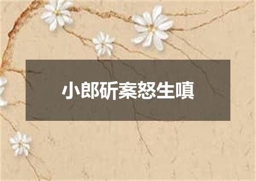 小郎斫案怒生嗔
