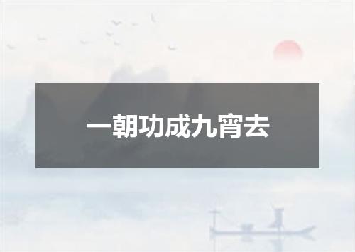 一朝功成九宵去