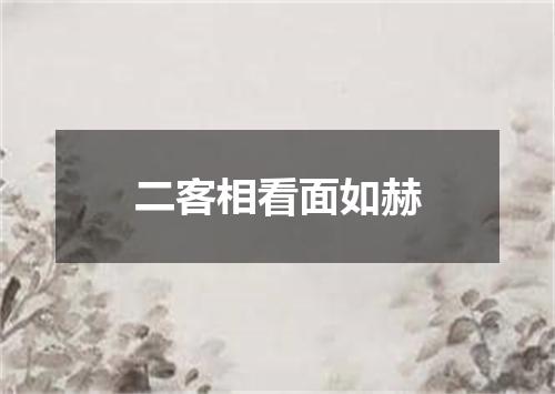 二客相看面如赫