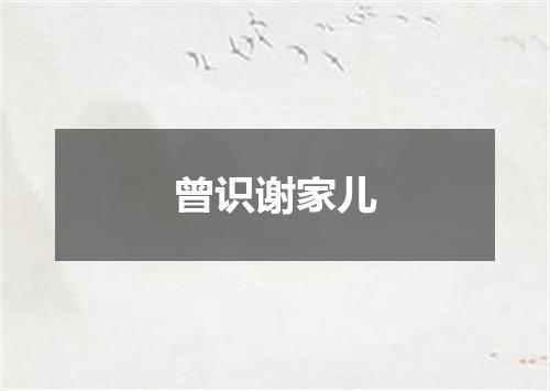 曾识谢家儿
