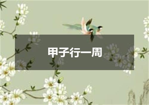 甲子行一周
