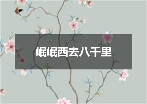 岷岷西去八千里
