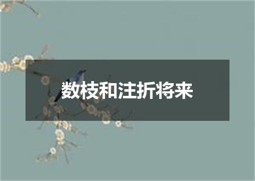 数枝和注折将来