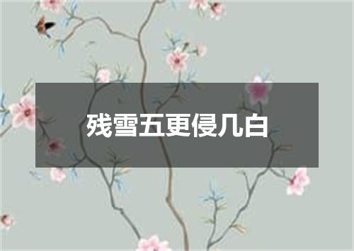 残雪五更侵几白
