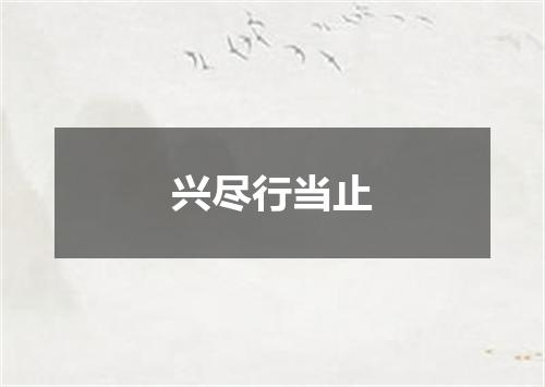 兴尽行当止