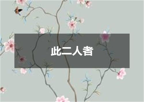 此二人者