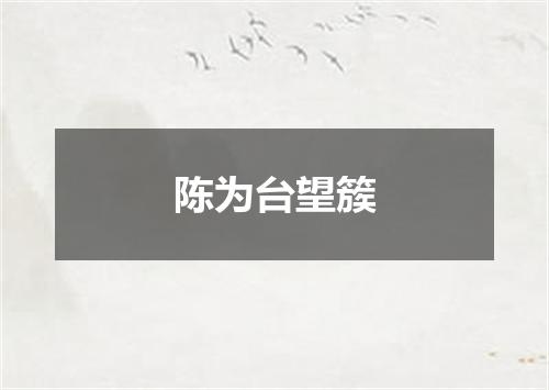 陈为台望簇