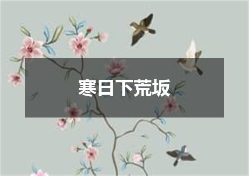 寒日下荒坂
