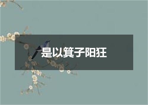 是以箕子阳狂