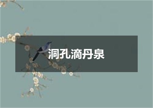 洞孔滴丹泉