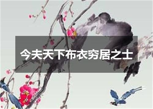 今夫天下布衣穷居之士