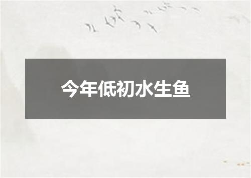 今年低初水生鱼