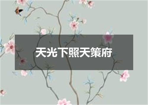 天光下照天策府