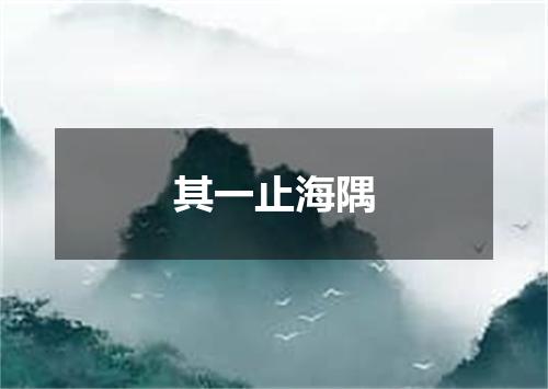 其一止海隅