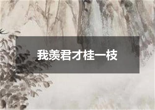 我羡君才桂一枝