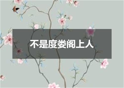 不是度娄阁上人