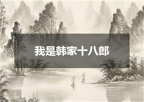 我是韩家十八郎