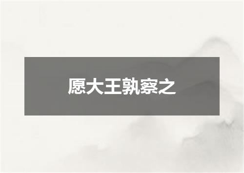 愿大王孰察之