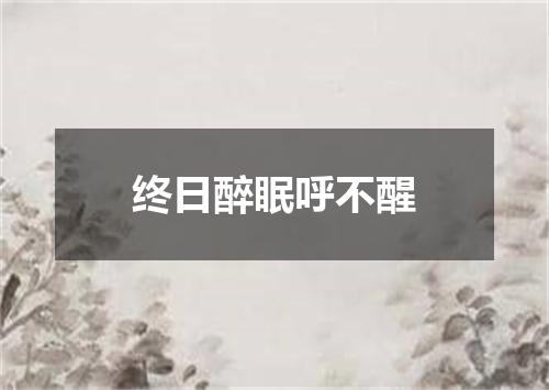 终日醉眠呼不醒