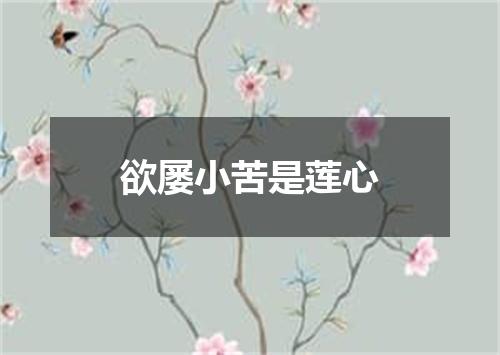 欲屡小苦是莲心