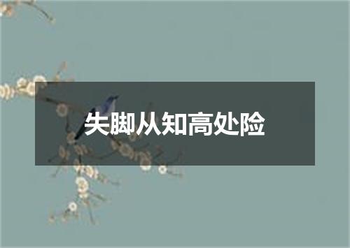 失脚从知高处险