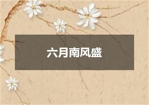 六月南风盛