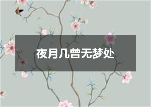 夜月几曾无梦处