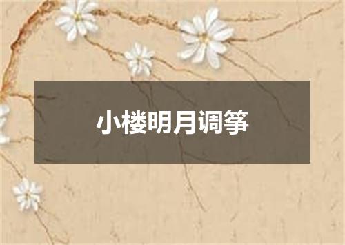小楼明月调筝