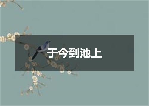 于今到池上