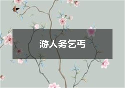 游人务乞丐